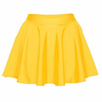 Picture of Adult's Nylon Lycra Circular Skirt