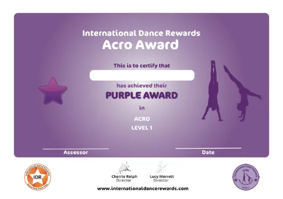 Picture of IDR - Acro - Level 1 - Purple