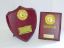 Picture of IDTA - Dance Exercise - Third Gold Bar