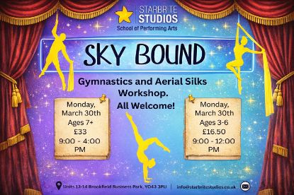 Picture of Sky Bound Gymnastic and Aerial Silks Workshop