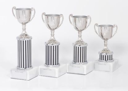 Picture of IDTA - Dance Exercise - Presidents Award 1