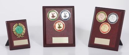 Picture of IDTA - Freestyle - One Dance - Solo - 03 - Pink